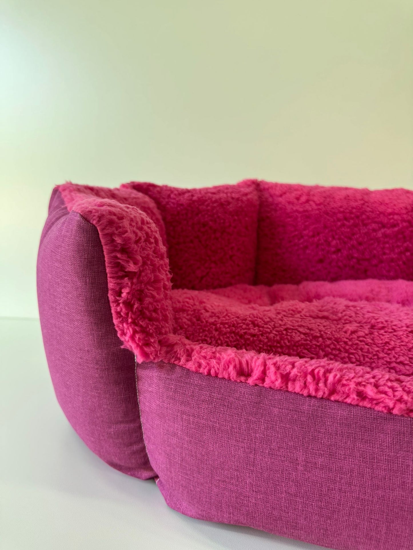 Conchiglia | Invernale Fucsia
