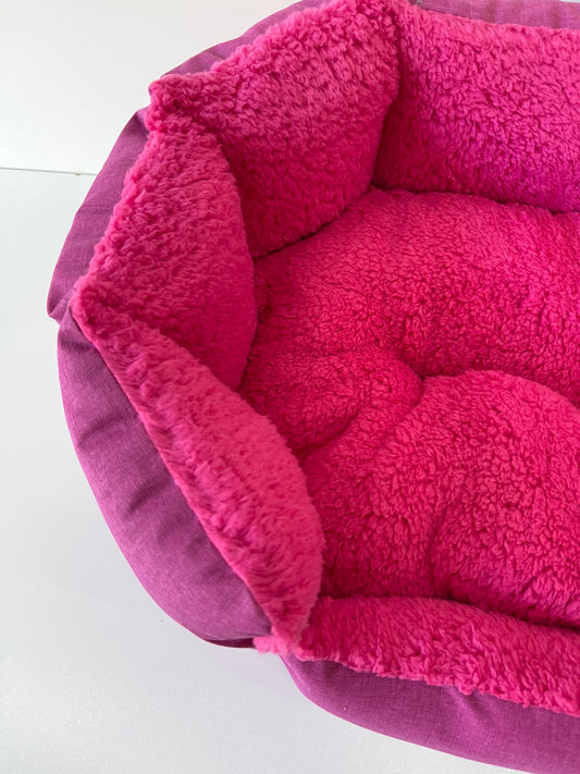 Conchiglia | Invernale Fucsia