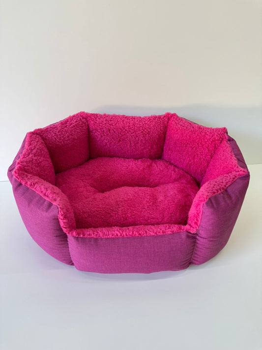 Conchiglia | Invernale Fucsia